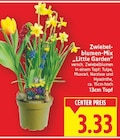 Zwiebelblumen-Mix 'Little Garden' bei E center im Berlin Prospekt für 3,33 €