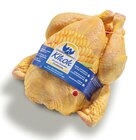 Hähnchen im Angebot bei REWE in Bergheim Hähnchen Angebote von Kikok bei REWE Bergheim für 0,99 €