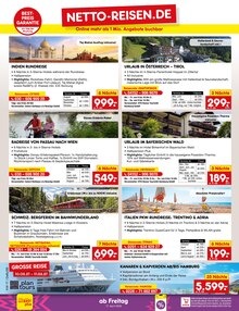 Blumen im Netto Marken-Discount Prospekt "Aktuelle Angebote" mit 71 Seiten (Augsburg)