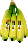 Bananen Angebote von Gut & Günstig bei E center Rüsselsheim für 1,11 €