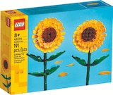 Rossmann - 40524 Sonnenblumen Angebot im Prospekt 40524 Sonnenblumen bei Rossmann im Prospekt "" für 10,99 €