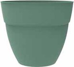 Pot "osaka" laurier 30cm - EDA - Intermarché à Angers Pot "osaka" laurier 30cm - EDA en promo chez Intermarché Angers à 4,49 €