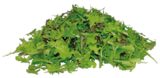 BIO CRISPY SALATMIX im Angebot bei REWE in Kerpen BIO CRISPY SALATMIX Angebote bei REWE Kerpen für 0,99 €