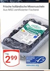 Miesmuscheln im Angebot bei GLOBUS in Gera Miesmuscheln Angebote bei GLOBUS Gera für 2,99 €