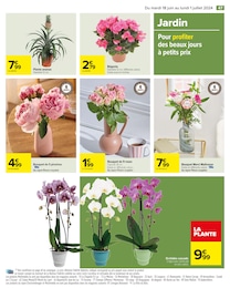 Offre Fleurs d'extérieur dans le catalogue Carrefour du moment à la page 49
