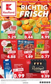Kaufland Supermarkt Prospekt der aktuellen Woche mit 62 Seiten, gültig von 13.11.2025 bis 19.11.2025, in Genthin und Umgebung Aktueller Kaufland Supermarkt Prospekt in Genthin und Umgebung, "Aktuelle Angebote" mit 62 Seiten, 13.11.2025 - 19.11.2025