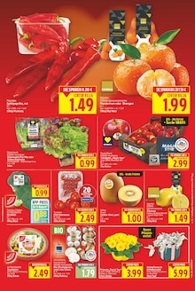 Tomaten im E center Prospekt "Aktuelle Angebote" mit 27 Seiten (Berlin)