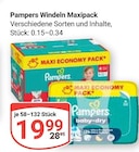 Aktuelles Windeln Maxipack Angebot bei GLOBUS in Rostock ab 19,99 €