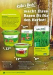 Rasendünger Rasendünger