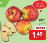 Aktuelles Tafeläpfel Wellant Angebot bei nah&frisch in Münster ab 1,49 €