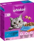 Katzentrockenfutter Angebote von Whiskas bei REWE Buxtehude für 2,49 €