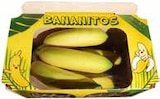 Premium Mini-Bananen im Angebot bei GLOBUS in Altenburg Premium Mini-Bananen Angebote bei GLOBUS Altenburg