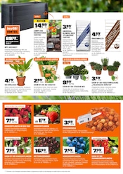 Aktueller OBI Prospekt mit Bio, "BIBERSTARKE ANGEBOTE", Seite 7