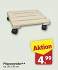 Pflanzenroller für 4,99 € bei famila Nordwest im Angebot Pflanzenroller im aktuellen famila Nordwest Prospekt