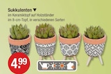 Geschenkartikel im V-Markt Prospekt Sukkulenten im aktuellen V-Markt Prospekt für 4,99 €