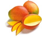 Mango im Angebot bei Netto mit dem Scottie in Eberswalde Mango Angebote bei Netto mit dem Scottie Eberswalde für 1,59 €