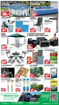 Chrysantheme im Wreesmann Prospekt "DEIN SAISON- & SONDERPOSTENMARKT!" mit 16 Seiten (Dresden)