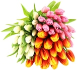 Großbund Tulpen XL Angebote bei REWE Kerpen für 5,55 €