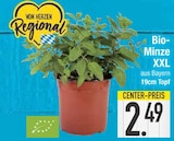 Bio-Minze XXL Angebote bei EDEKA Straubing für 2,49 €