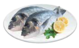 Dorade im Angebot bei EDEKA in Seevetal Dorade Angebote bei EDEKA Seevetal für 2,49 €