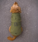 WOUAPY - MANTEAU TRENCHY - WOUAPY à 55,99 € dans le catalogue Animalis