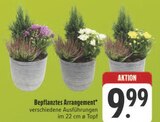 E center Neuendettelsau - Bepflanztes Arrangement Angebot im Prospekt Bepflanztes Arrangement bei E center im Neuendettelsau Prospekt für 9,99 €