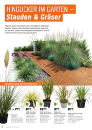 Rasen Angebot im aktuellen OBI Prospekt auf Seite 10