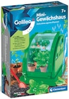 Mini-Gewächshaus im Angebot bei Rossmann in Lemgo Mini-Gewächshaus Angebote von Galileo bei Rossmann Lemgo für 5,99 €