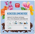 Kokosblumenerde im REWE Prospekt Kokosblumenerde von REWE Beste Wahl im aktuellen REWE Prospekt für 2,29 €