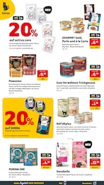 Lachs Angebot im aktuellen Das Futterhaus Prospekt auf Seite 6