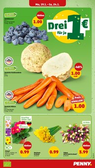 Tulpen im aktuellen Penny Prospekt (Mannheim) Tulpen im Penny Prospekt "Wer gĂĽnstig will, muss Penny." mit 42 Seiten (Mannheim)
