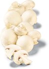 Champignons weiß im Angebot bei Netto Marken-Discount in Magdeburg Champignons weiß Angebote bei Netto Marken-Discount Magdeburg für 1,50 €