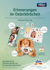 Kinderspielzeug im dm-drogerie markt Prospekt in Melle Aktueller dm-drogerie markt Prospekt mit Kinderspielzeug, "Frühling - und Du mittendrin", Seite 4