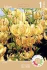 Lilie Martagon bei Thomas Philipps im Itzehoe Prospekt für 2,99 €