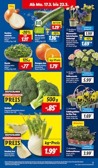 Hortensie im Lidl Prospekt "LIDL LOHNT SICH" mit 61 Seiten (Hagen (Stadt der FernUniversität))