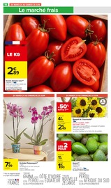 Orchidée Angebote im Prospekt "Carrefour market" von Carrefour Market Orchidée Angebote im Prospekt "Carrefour market" von Carrefour Market auf Seite 22