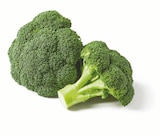 Brokkoli im Angebot bei Lidl in Bad Oeynhausen Brokkoli Angebote bei Lidl Bad Oeynhausen für 1,11 €