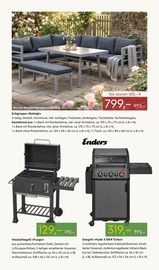 Aktueller Pflanzen Kölle Prospekt mit Gasgrill, "BLÜHENDE DUFTOASE", Seite 11