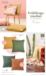 Segmüller Kuscheldecke im Prospekt 