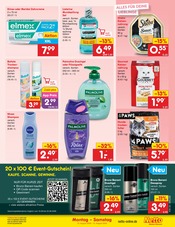 Sheba im Netto Marken-Discount Prospekt in Detmold Aktueller Netto Marken-Discount Prospekt mit Sheba, "Aktuelle Angebote", Seite 43