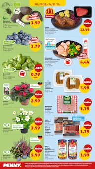 Pflanzen im aktuellen Penny Prospekt (Ulm) Pflanzen im Penny Prospekt "Wer günstig will, muss Penny." mit 45 Seiten (Ulm)