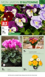 Promos Jardinage dans le catalogue "JARDIN" de Carrefour Jardinage en promo dans le catalogue Carrefour à la page 3