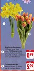 Tulpenstrauß XL Angebote von Englische Narzissen oder Frühlingsprimeln bei EDEKA Ravensburg für 0,99 €