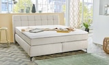 Boxspringbett Gitta für 659,99 € bei SB Möbel Boss im Angebot Boxspringbett Gitta im aktuellen SB Möbel Boss Prospekt