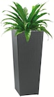 Polyrattan-Blumenkübel im Wreesmann Prospekt Polyrattan-Blumenkübel von im aktuellen Wreesmann Prospekt für 14,99 €