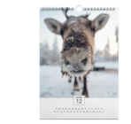 Wandkalender A4 im Angebot bei Kaufland in Fürth Wandkalender A4 Angebote bei Kaufland Fürth für 11,49 €