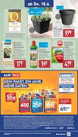 Blumenerde im ALDI Nord Prospekt in Plauen Aktueller ALDI Nord Prospekt mit Blumenerde, "Aktuelle Angebote", Seite 31