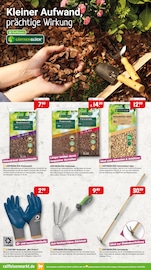 Aktueller Raiffeisenmarkt Prospekt mit Handschuhe, "Gartenzeit & Spielspaß Wohlfühlen für alle", Seite 2