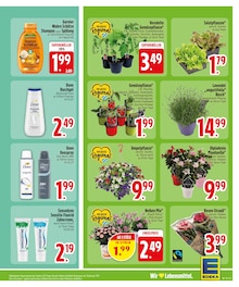 Blumen im EDEKA Prospekt "Wir lieben Lebensmittel." mit 26 Seiten (Augsburg)