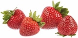 Aktuelle Erdbeeren Angebote bei EDEKA in Recklinghausen Aktuelles Deutschland Erdbeeren Klasse 1 Angebot bei EDEKA in Recklinghausen ab 2,99 €